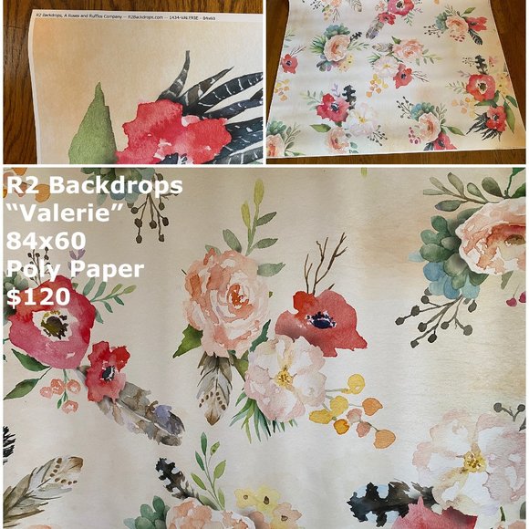 R2 Backdrops Professional Background for Photography - "Valerie" 84x60 - Picture 2 of 3